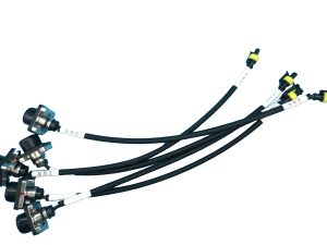 Automotive wire harness